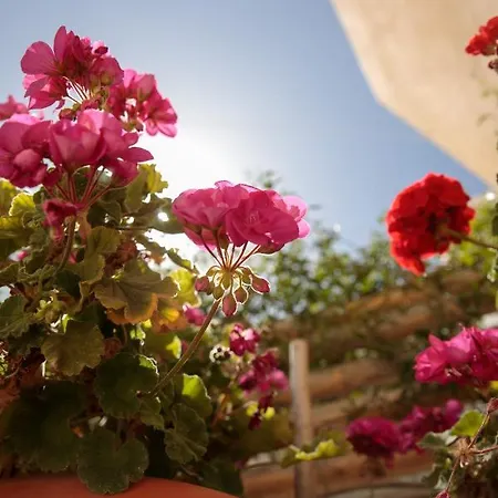 Vintage House Naxos Holiday home *